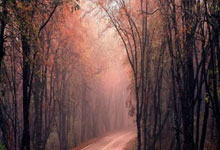 [天下足球]历史首次 2026年世界杯决赛增设中场秀.