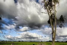 狗子28官网：曼联主帅力挺拉什福德 质疑其团队决策.